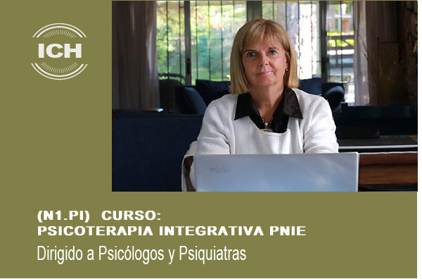 Curso: PSICOTERAPIA INTEGRATIVA PNIE (N1.PI)