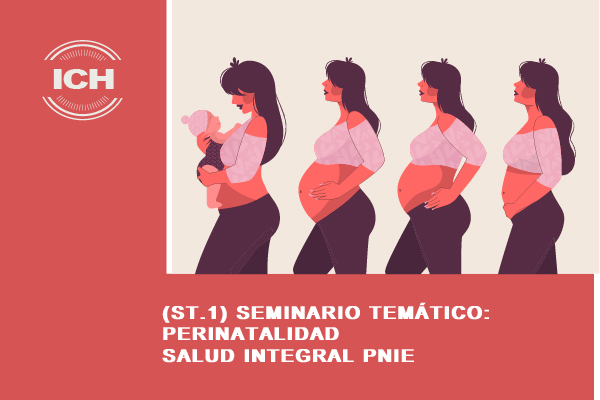 PERINATALIDAD Y SALUD INTEGRAL PNIE Seminario Temático: PERINATALIDAD Y SALUD INTEGRAL PNIE (ST-1)
